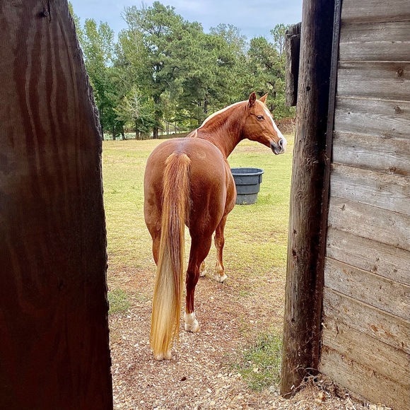 BE KIND - Picture 10 of 15